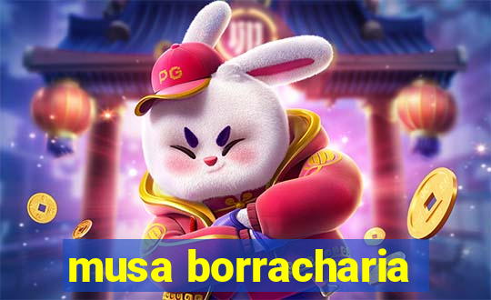 musa borracharia